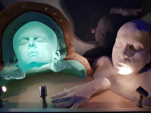 One of Warwick Davis's many faces