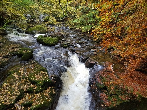 Yet another waterfall