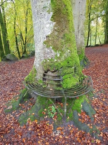 A bench by the Birks