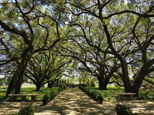 The front garden of the big house