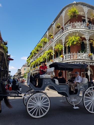 Walking around New Orleans