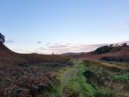 Running across the moors