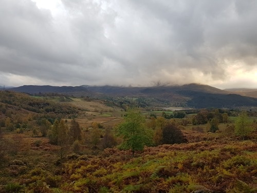 The view from the road