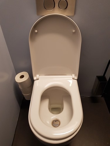 First gen pee-separating toilet