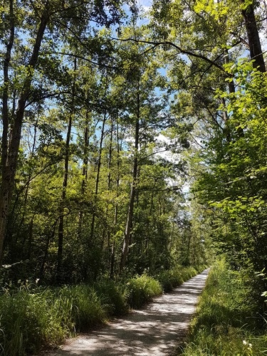 Another view into la Grande Cariciae