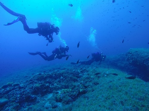 Under the surface with the kids