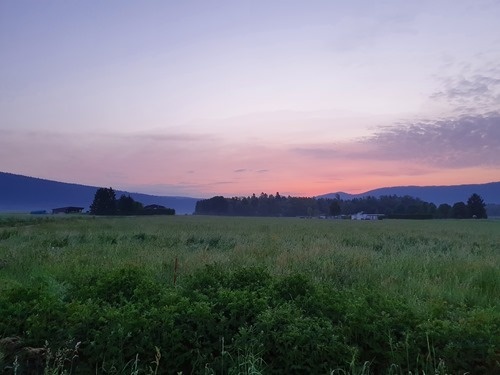 Enjoying the pre-dawn twilight