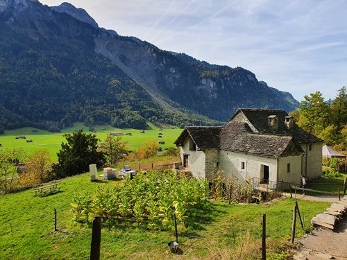 The surroundings are beautiful