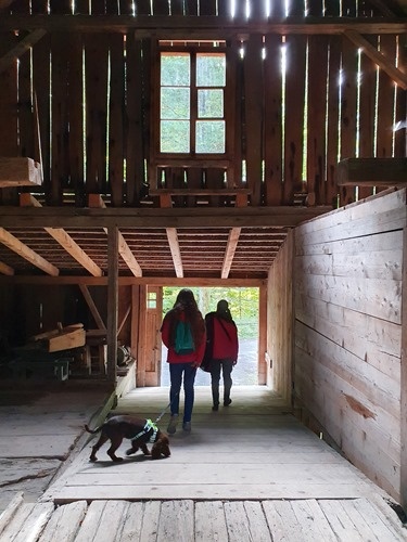 Inside an old barn