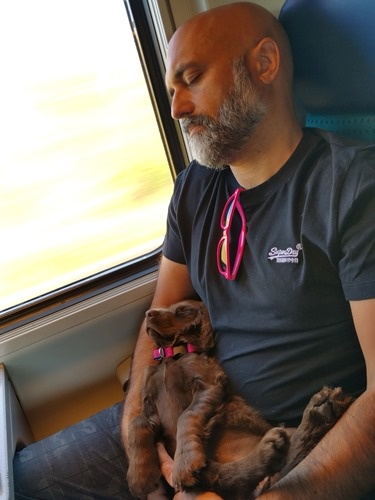 Sleeping in the train