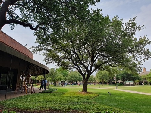 Outdoors at the Hilton Anatole