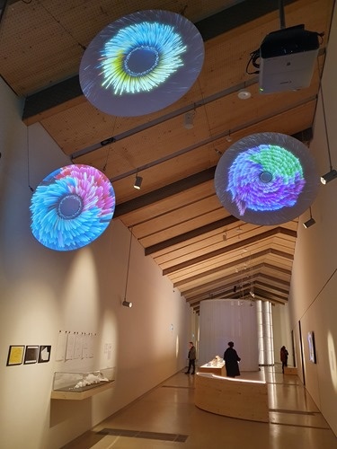 Sleep cycles meet data viz