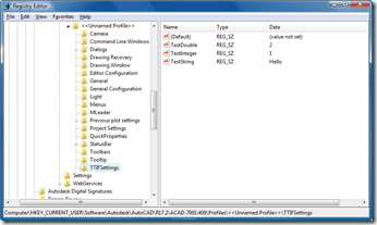 Custom application settings in the Registry