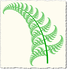 More curved fern